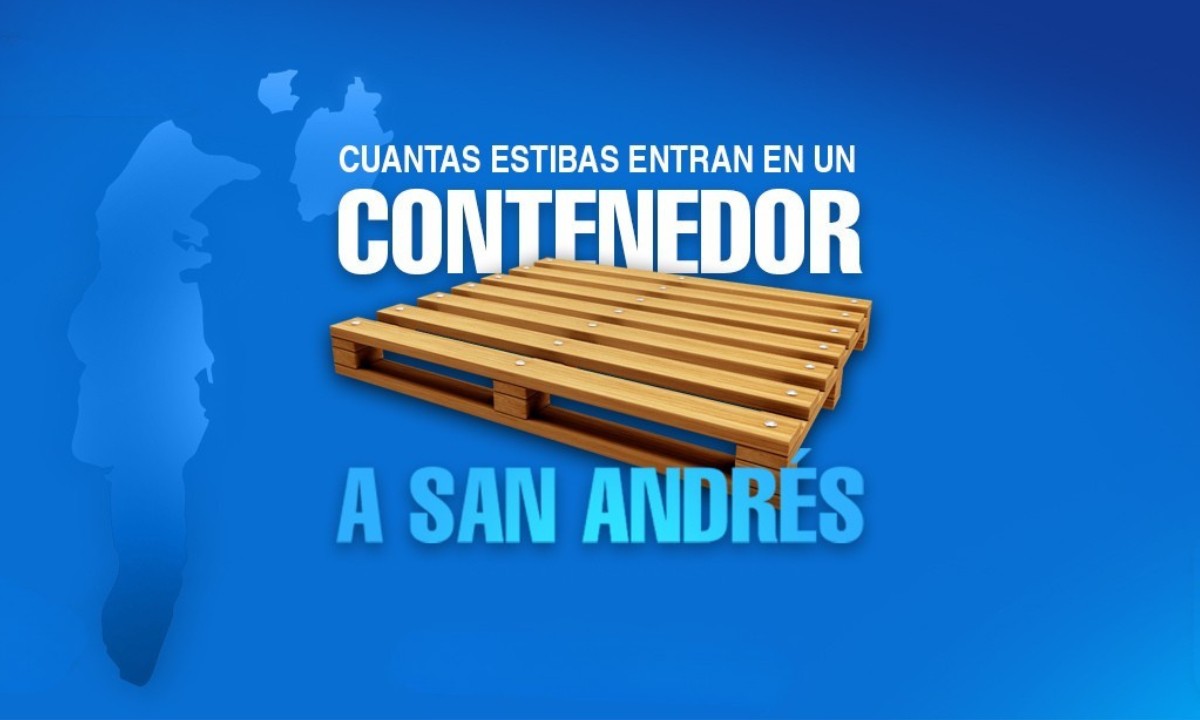 pallets contenedor 20 pies